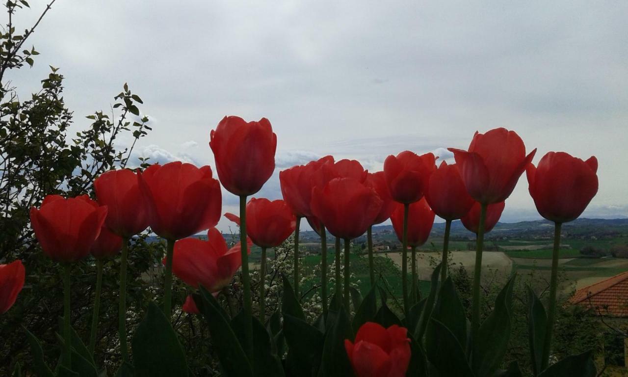 B&B Monferrato La Casa Sui Tetti Murisengo Exterior foto